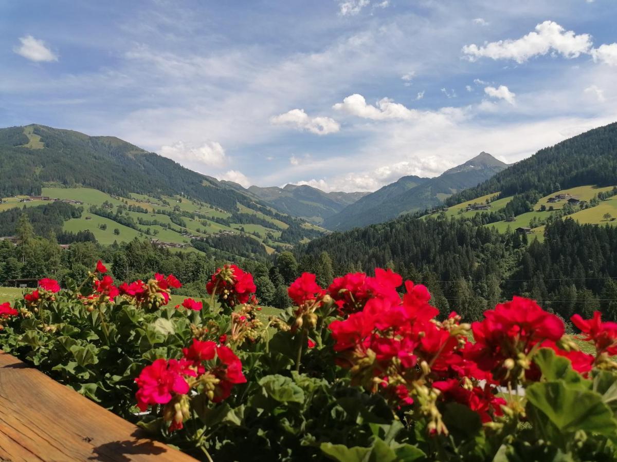 Haus Schmetterling Leilighet Alpbach Eksteriør bilde