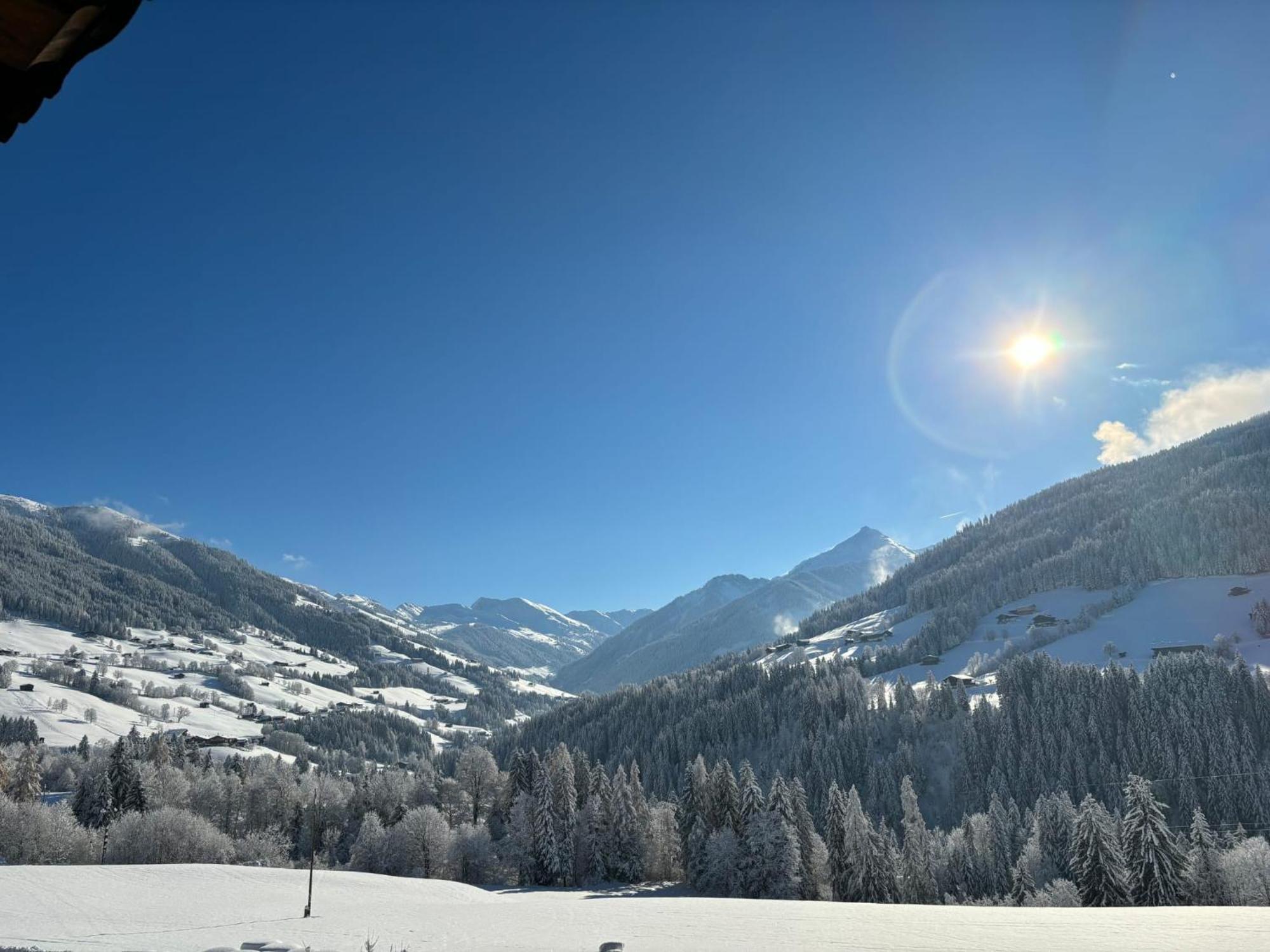 Haus Schmetterling Leilighet Alpbach Eksteriør bilde