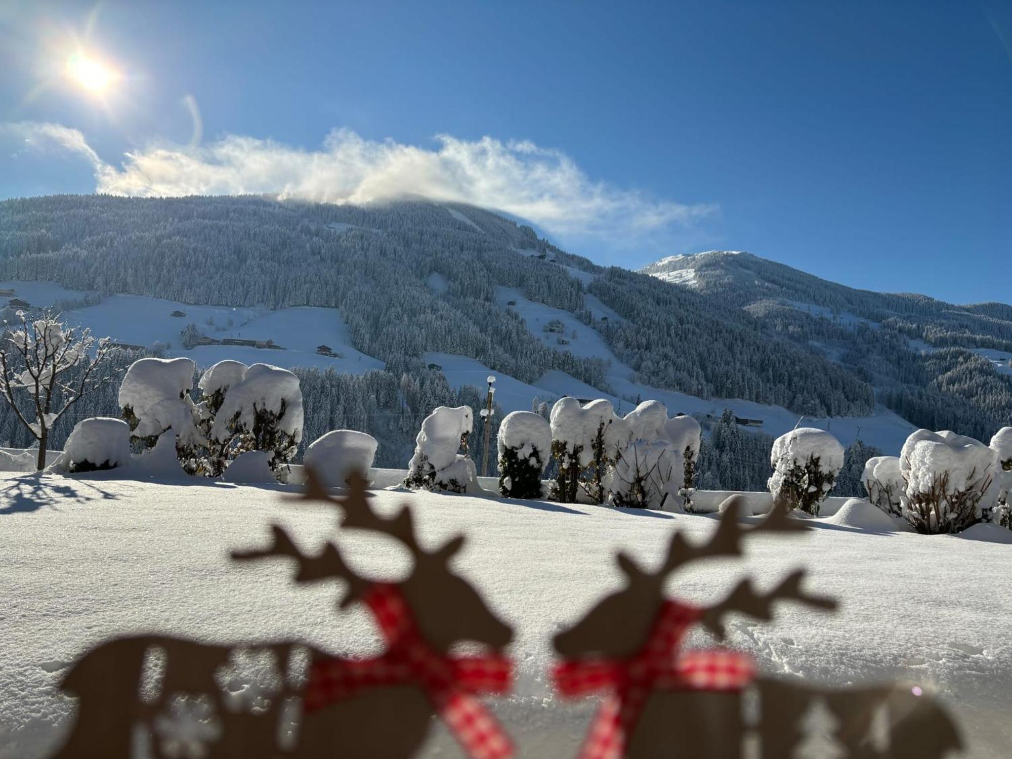 Haus Schmetterling Leilighet Alpbach Eksteriør bilde