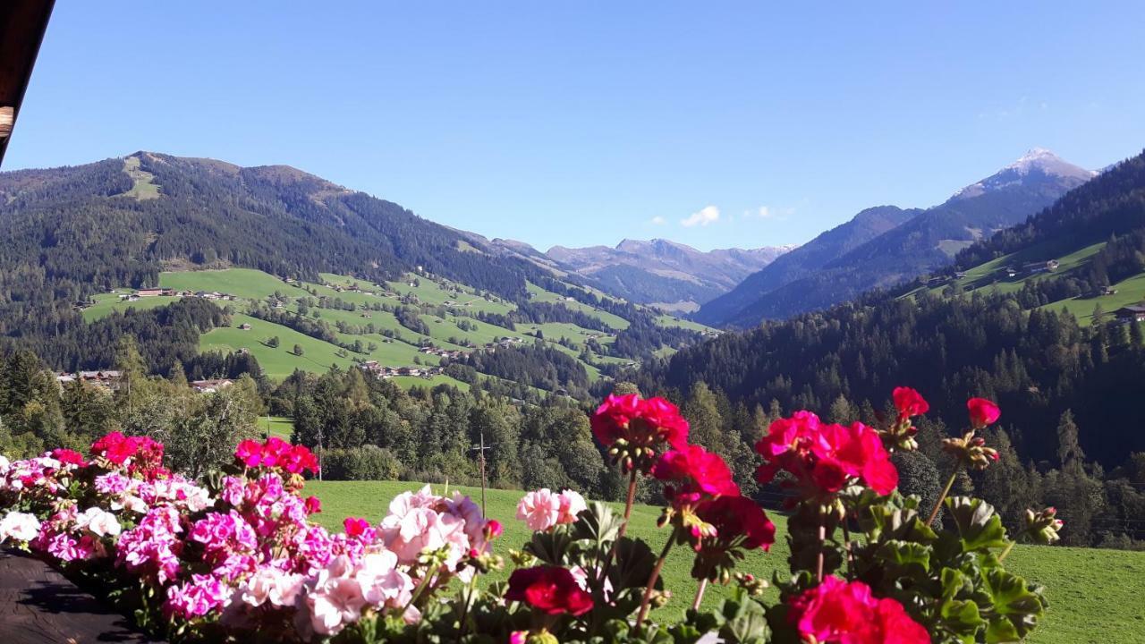 Haus Schmetterling Leilighet Alpbach Eksteriør bilde